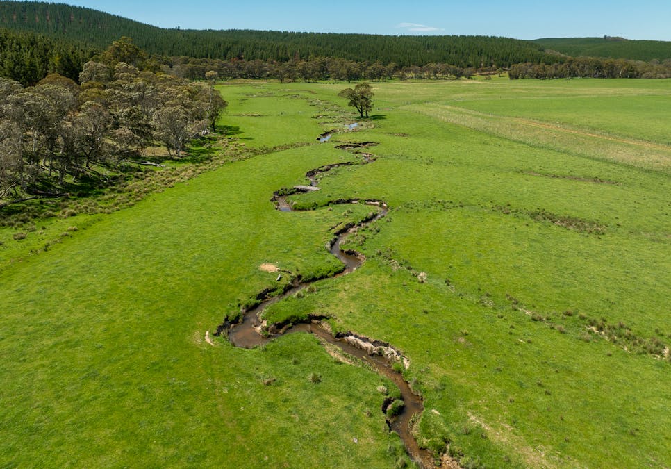 439 Tuglow Forest Road, Shooters Hill, NSW, 2787 - Image 6