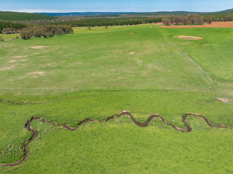 439 Tuglow Forest Road, Shooters Hill, NSW, 2787 - Image 24