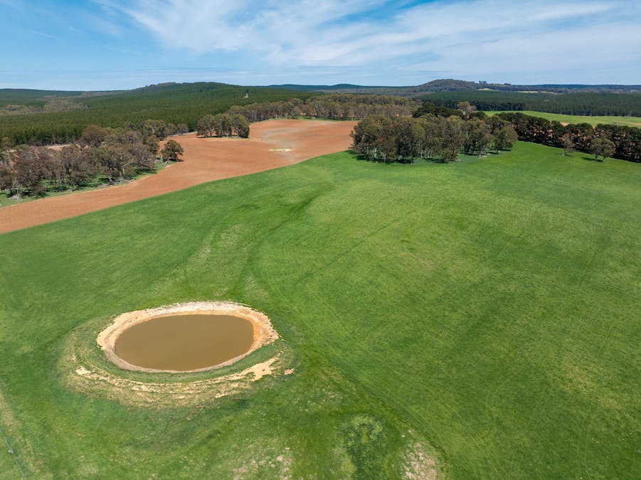 439 Tuglow Forest Road, Shooters Hill, NSW, 2787 - Image 25