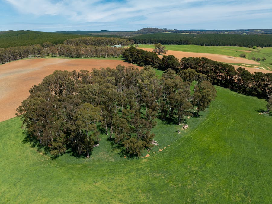 439 Tuglow Forest Road, Shooters Hill, NSW, 2787 - Image 26