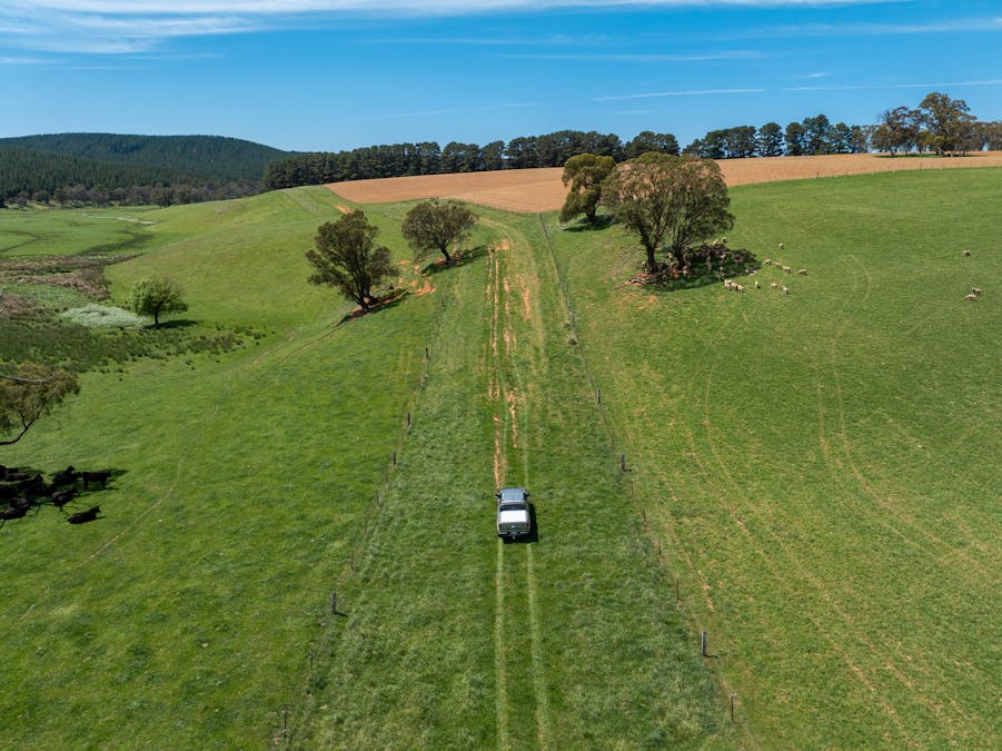 439 Tuglow Forest Road, Shooters Hill, NSW, 2787 - Image 27