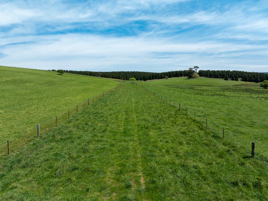 439 Tuglow Forest Road, Shooters Hill, NSW, 2787 - Image 30