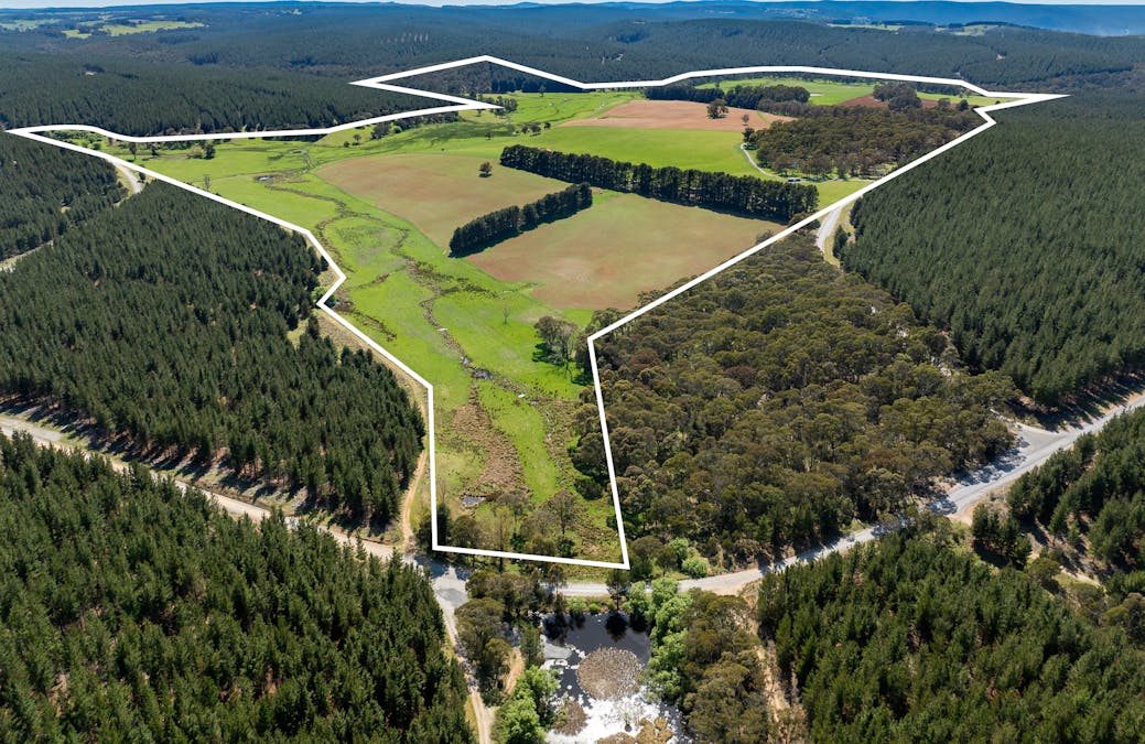 439 Tuglow Forest Road, Shooters Hill, NSW, 2787 - Image 2