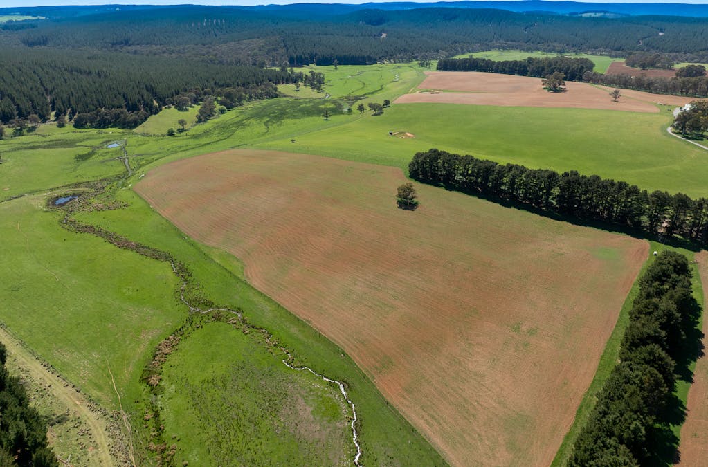 439 Tuglow Forest Road, Shooters Hill, NSW, 2787 - Image 31