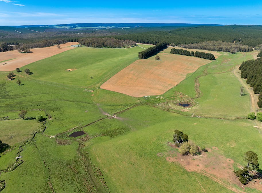 439 Tuglow Forest Road, Shooters Hill, NSW, 2787 - Image 32