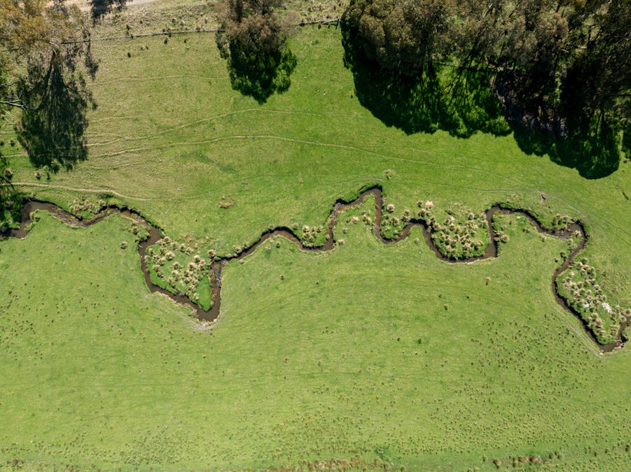 439 Tuglow Forest Road, Shooters Hill, NSW, 2787 - Image 33