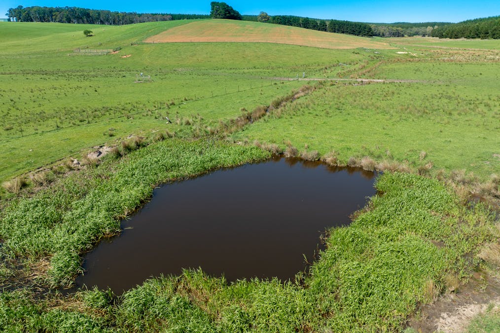 439 Tuglow Forest Road, Shooters Hill, NSW, 2787 - Image 34