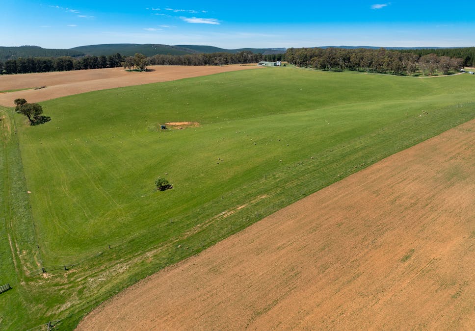 439 Tuglow Forest Road, Shooters Hill, NSW, 2787 - Image 35