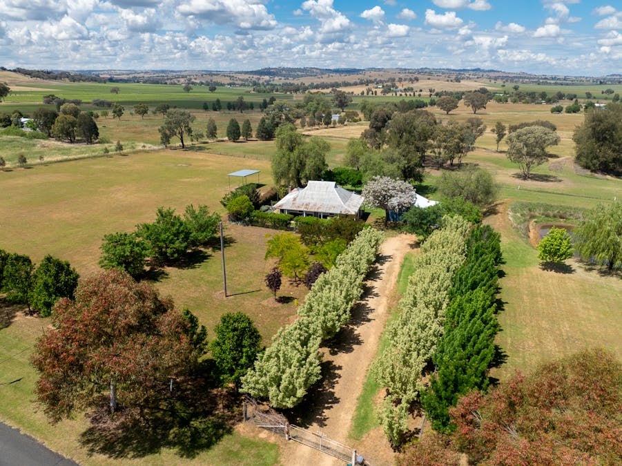 20 Square Road, Moorbel, NSW, 2804 - Image 13