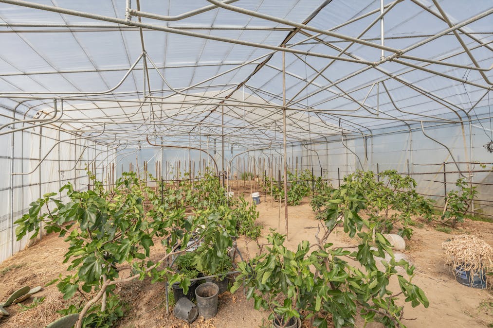 199 Baileys Lane, Oberon, NSW, 2787 - Image 18