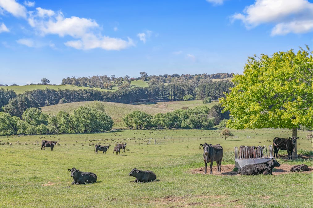 199 Baileys Lane, Oberon, NSW, 2787 - Image 25