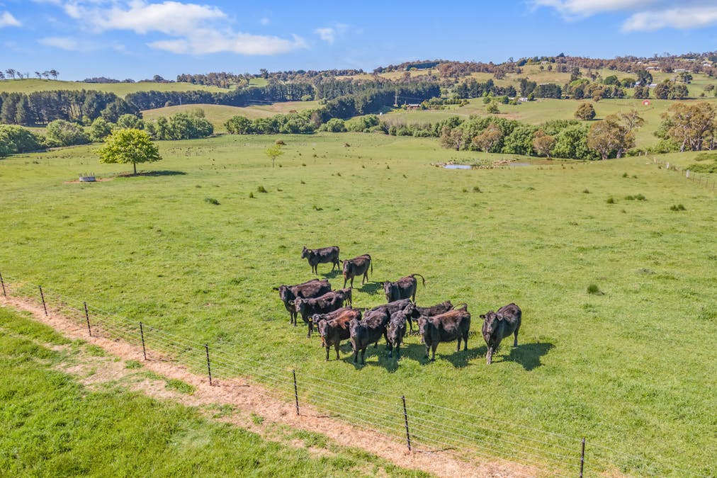 199 Baileys Lane, Oberon, NSW, 2787 - Image 24