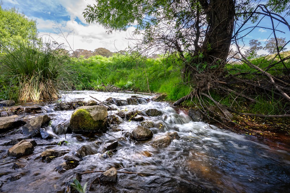 1105 - 1107 O'Connell Road, Oberon, NSW, 2787 - Image 2