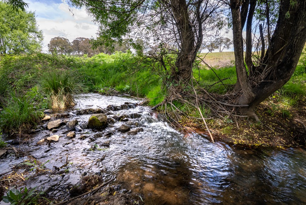 1105 - 1107 O'Connell Road, Oberon, NSW, 2787 - Image 17
