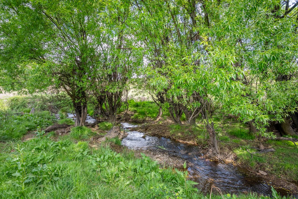 1105 - 1107 O'Connell Road, Oberon, NSW, 2787 - Image 19