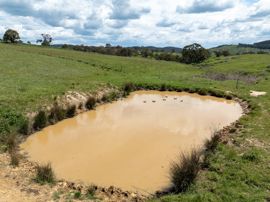 1105 - 1107 O'Connell Road, Oberon, NSW, 2787 - Image 12