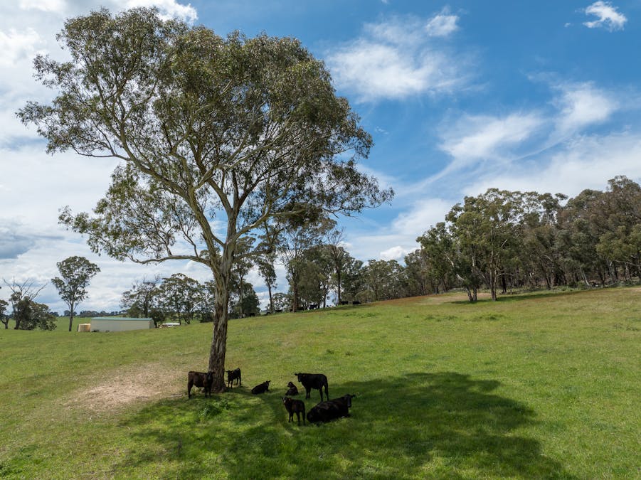 1105 - 1107 O'Connell Road, Oberon, NSW, 2787 - Image 10