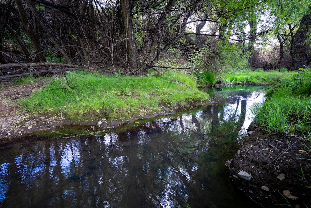 1105 - 1107 O'Connell Road, Oberon, NSW, 2787 - Image 4