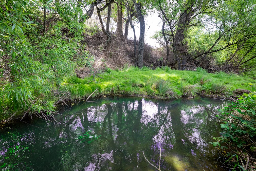 1105 - 1107 O'Connell Road, Oberon, NSW, 2787 - Image 15