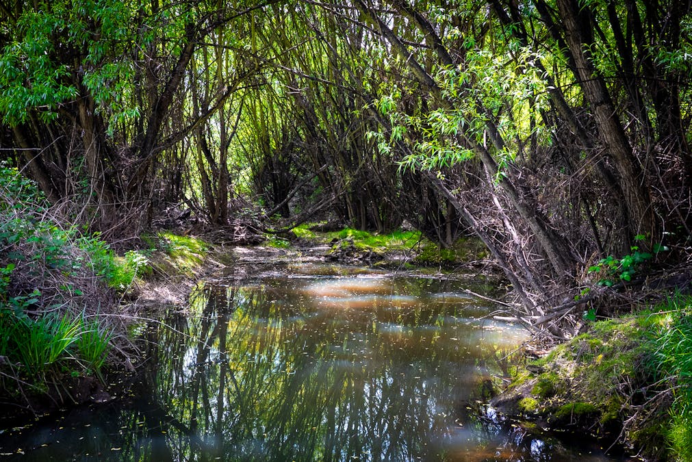 1105 - 1107 O'Connell Road, Oberon, NSW, 2787 - Image 14
