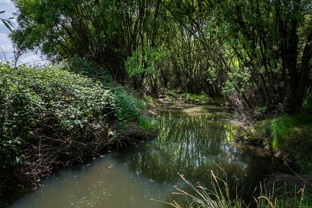 1105 - 1107 O'Connell Road, Oberon, NSW, 2787 - Image 16