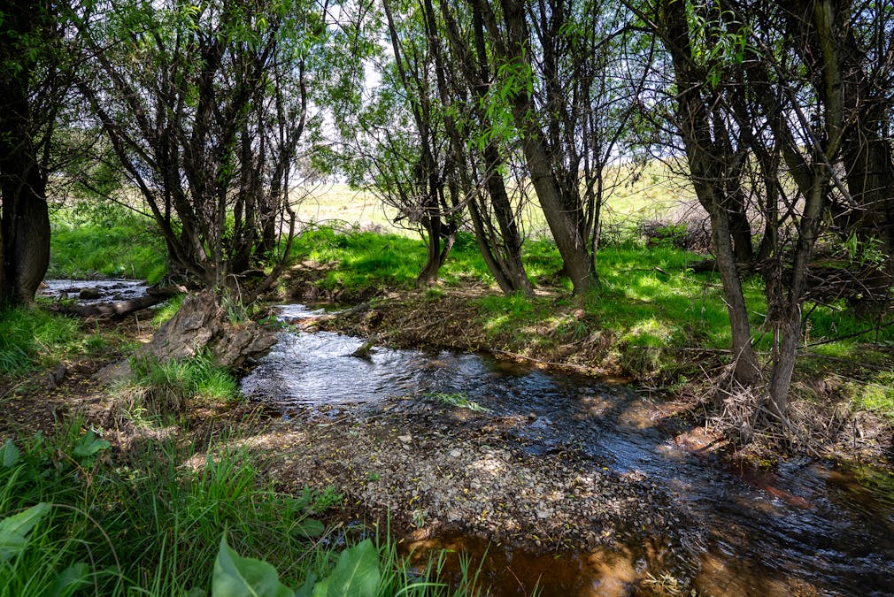 1105 - 1107 O'Connell Road, Oberon, NSW, 2787 - Image 18