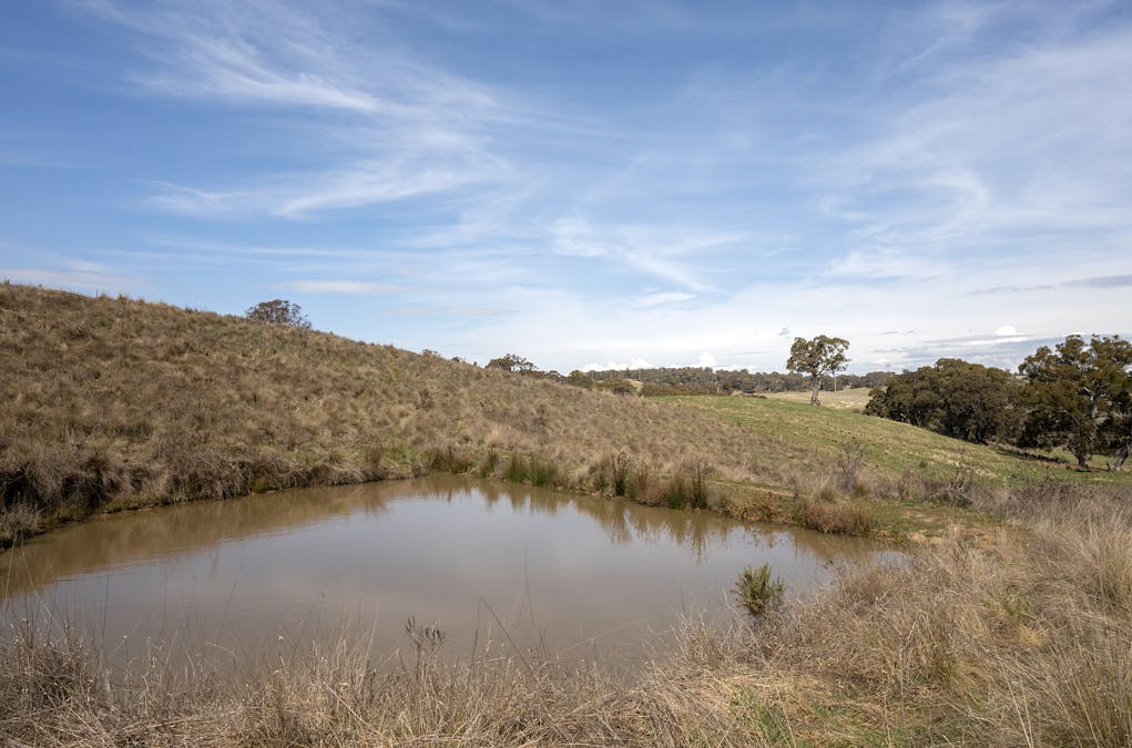 1021 O'Connell Road, Oberon, NSW, 2787 - Image 8