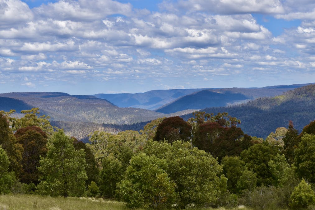 363 Sheepstation Forest Road, Gingkin, NSW, 2787 - Image 1