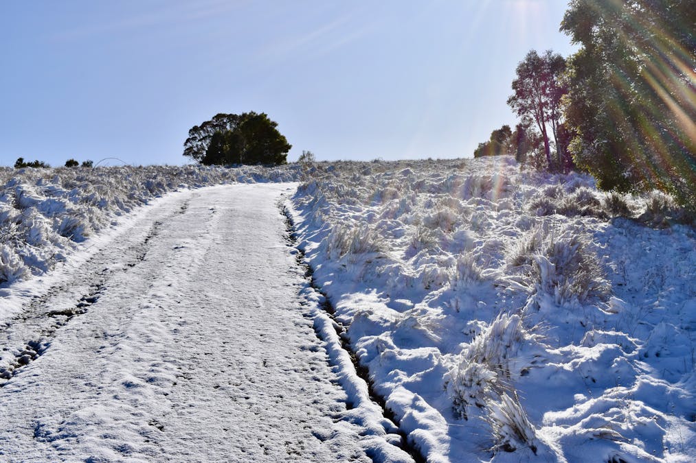 363 Sheepstation Forest Road, Gingkin, NSW, 2787 - Image 22