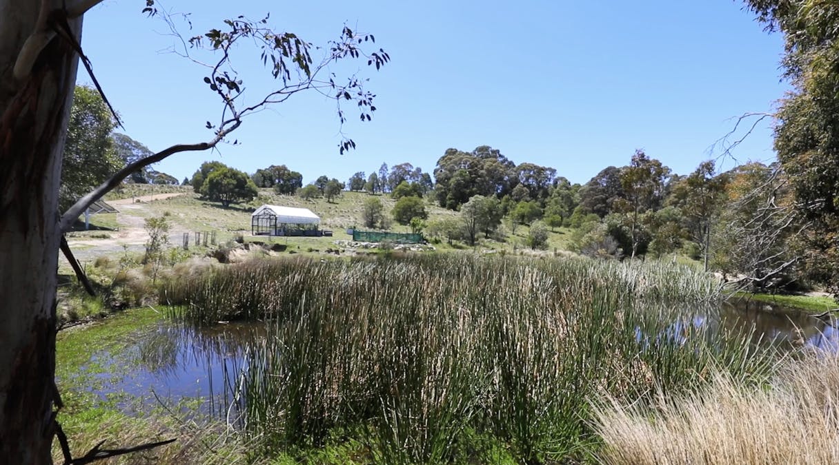 363 Sheepstation Forest Road, Gingkin, NSW, 2787 - Image 12