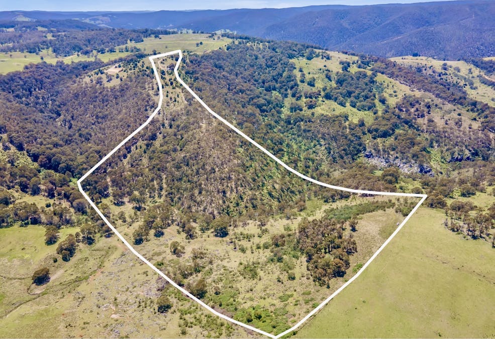 363 Sheepstation Forest Road, Gingkin, NSW, 2787 - Image 18