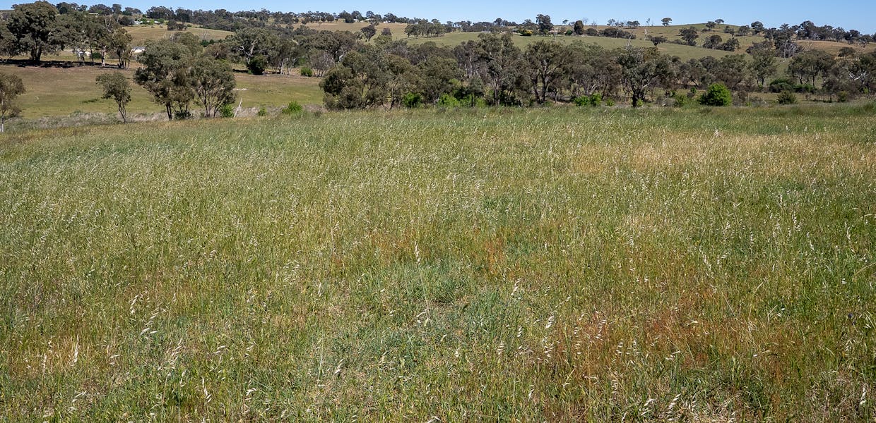 265 Bloom Hill Road, O'connell, NSW, 2795 - Image 30