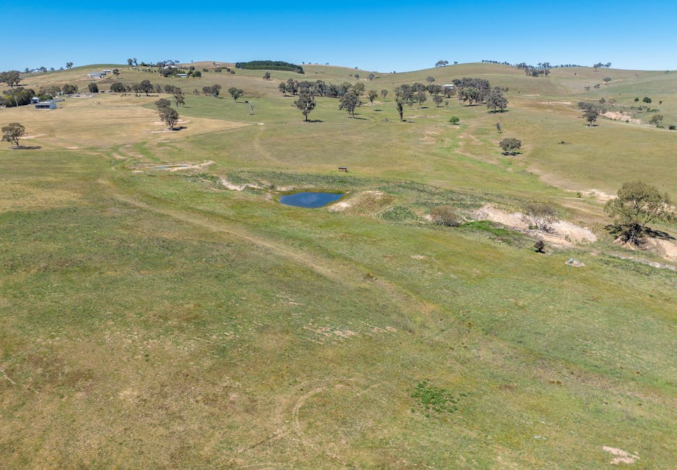 265 Bloom Hill Road, O'connell, NSW, 2795 - Image 31