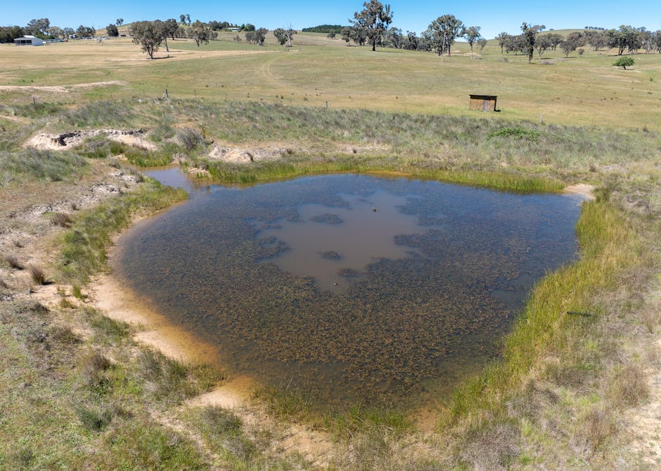 265 Bloom Hill Road, O'connell, NSW, 2795 - Image 32