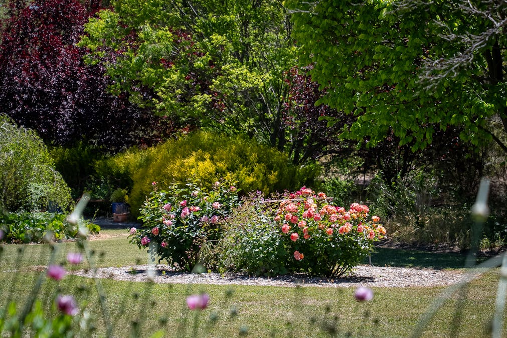 265 Bloom Hill Road, O'connell, NSW, 2795 - Image 21