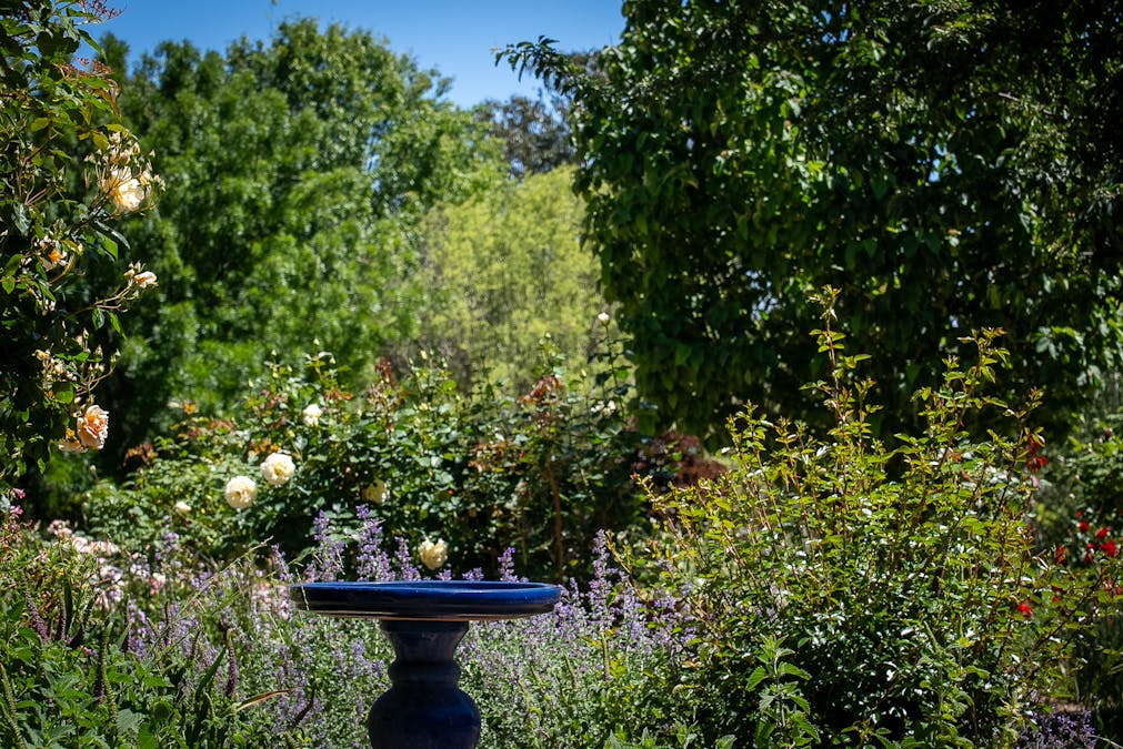 265 Bloom Hill Road, O'connell, NSW, 2795 - Image 20