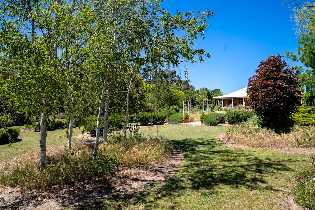 265 Bloom Hill Road, O'connell, NSW, 2795 - Image 5