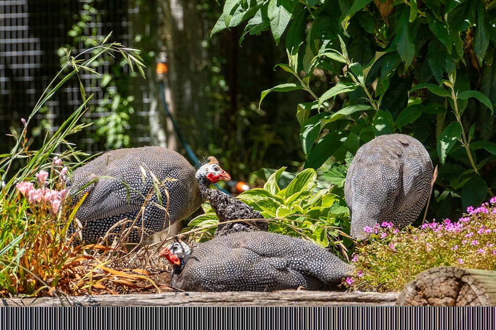 265 Bloom Hill Road, O'connell, NSW, 2795 - Image 24