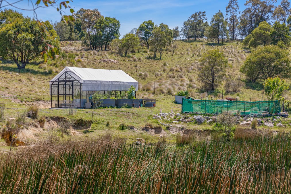 363 Sheepstation Forest Road, Gingkin, NSW, 2787 - Image 2