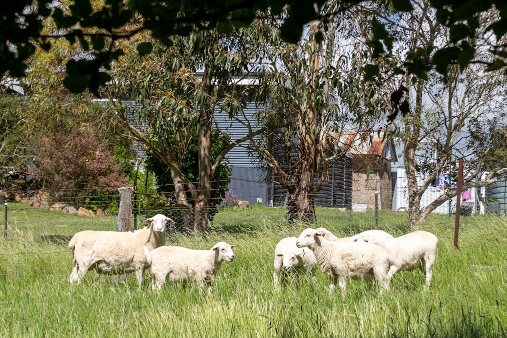 100 Lucks Lane, Blayney, NSW, 2799 - Image 26