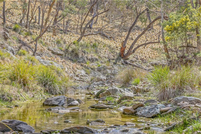 554 Curragh Road, Abercrombie River, NSW, 2795 - Image 1