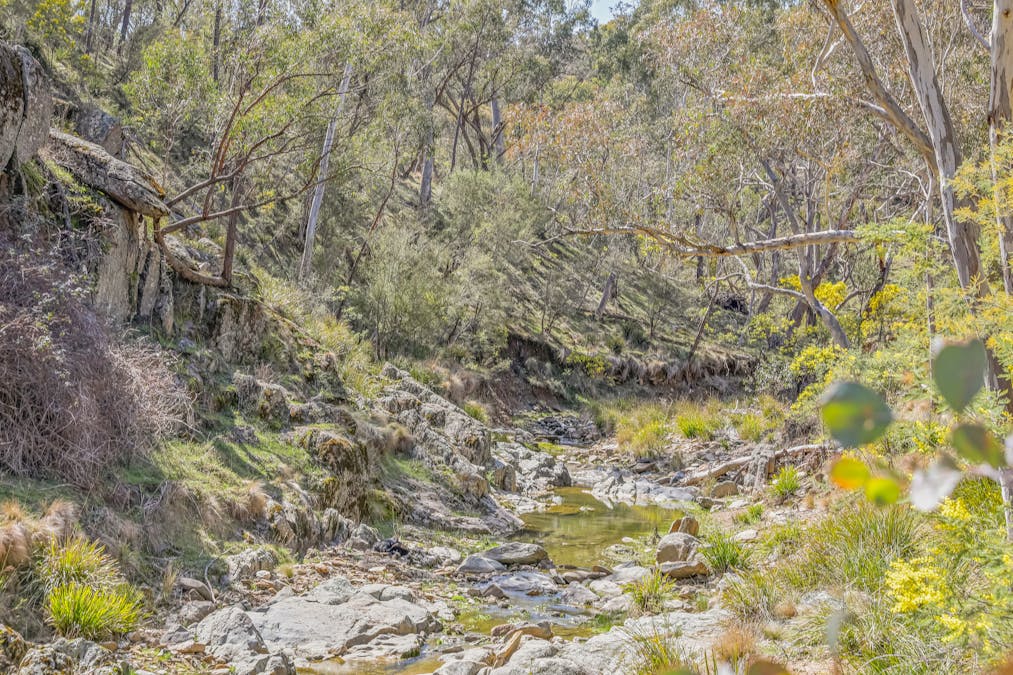 554 Curragh Road, Abercrombie River, NSW, 2795 - Image 14