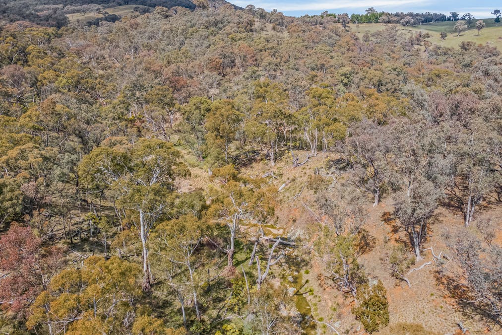 554 Curragh Road, Abercrombie River, NSW, 2795 - Image 17
