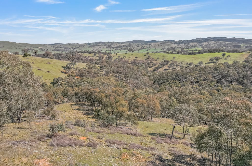 554 Curragh Road, Abercrombie River, NSW, 2795 - Image 19