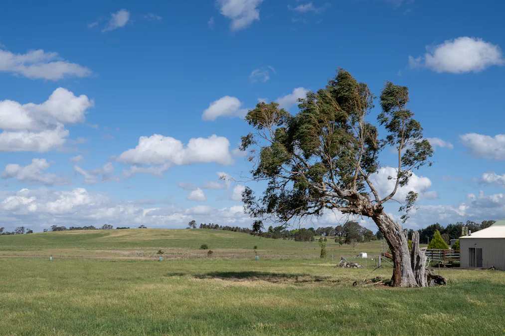 49 Eves Lane, Millthorpe, NSW, 2798 - Image 2