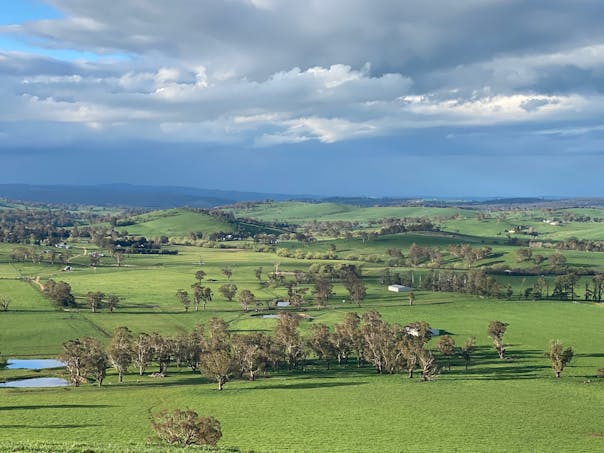 584 Three Brothers Road, Moorilda, NSW, 2795 - Image 1