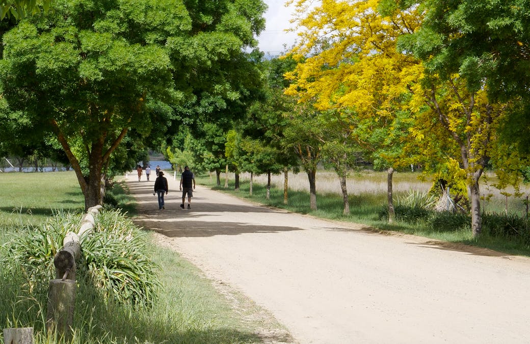 10 Ostler Close, Lidsdale, NSW, 2790 - Image 10