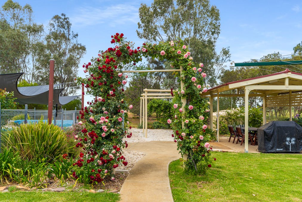 'Matilda' 147 Noonbinna East Road, Cowra, NSW, 2794 - Image 15