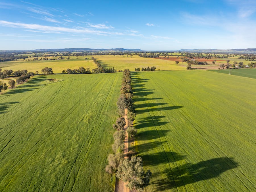 'Matilda' 147 Noonbinna East Road, Cowra, NSW, 2794 - Image 21