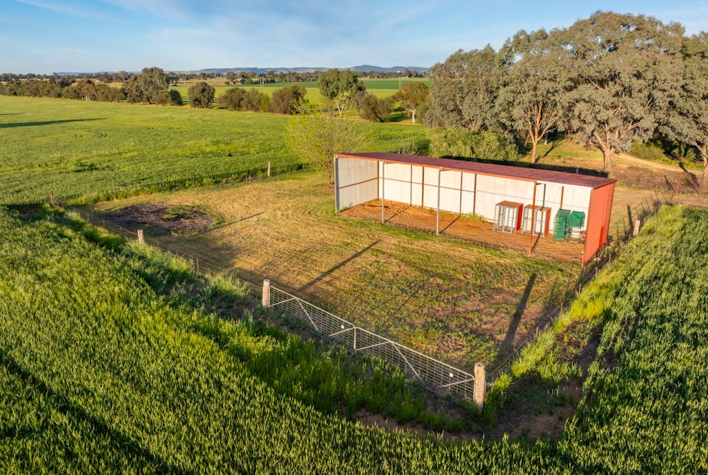 'Matilda' 147 Noonbinna East Road, Cowra, NSW, 2794 - Image 22